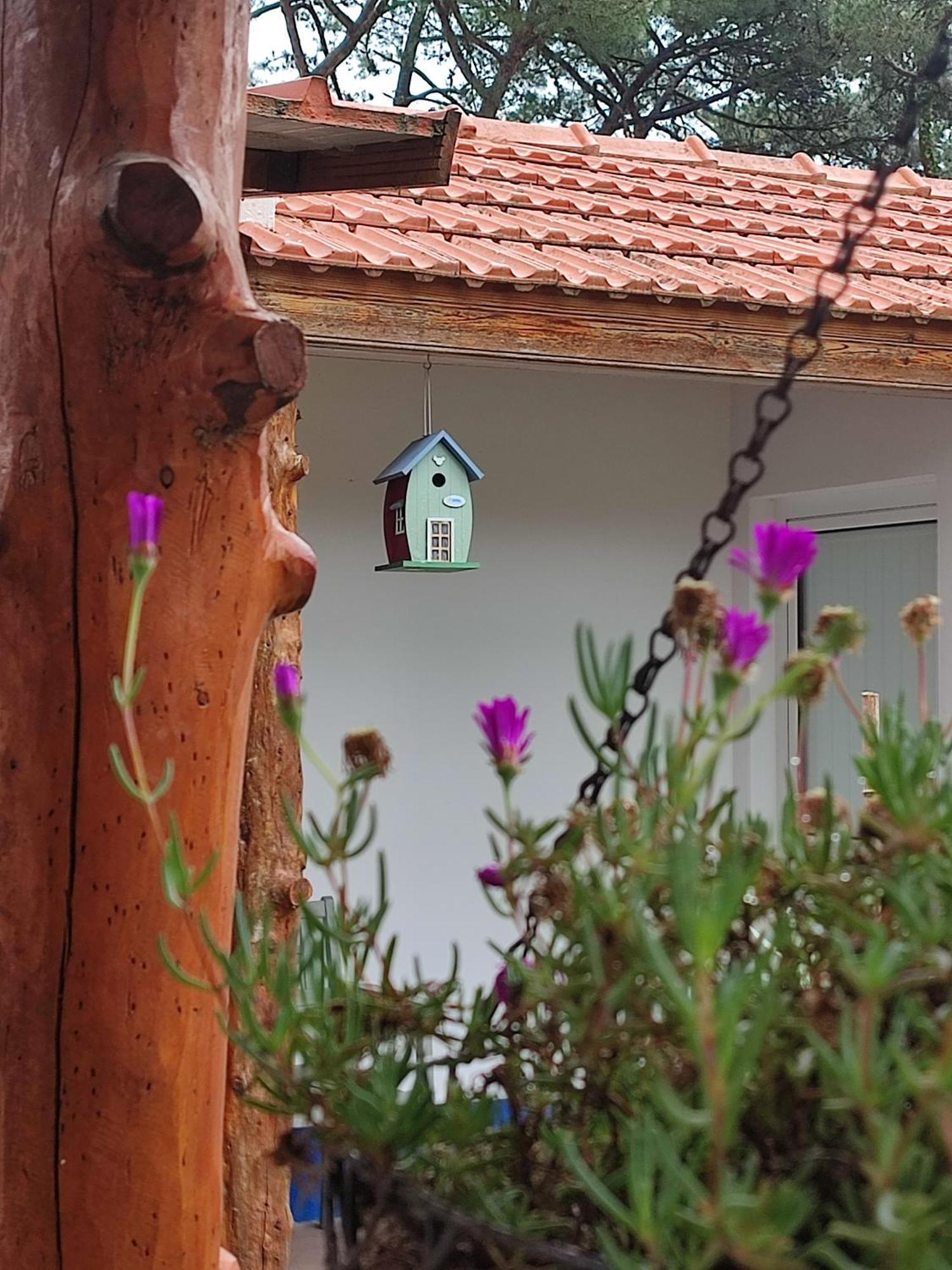 Villa Casinha Do Pinhal Colares Exterior foto